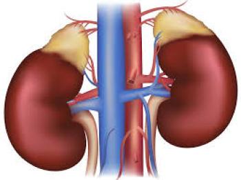 Kronik Böbrek Hastalığı Nedir?
